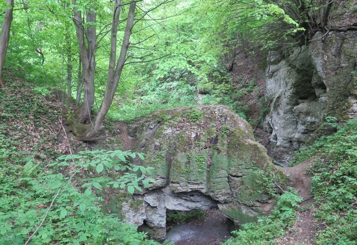 Печера Думка поблизу Соколівки